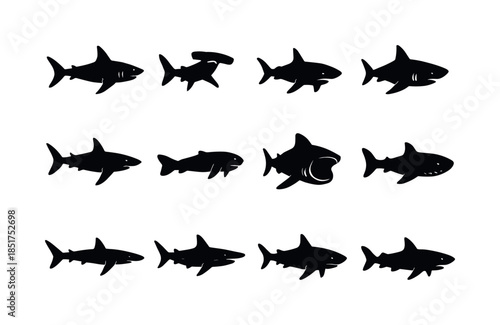 Shark Species Icons. Shark species. Solid icon set of Shark spec