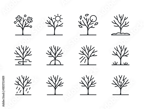 Lone Tree Seasons Icons. Lone Tree Seasons. Line icon set of Lon