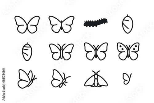 Butterfly and Moth Icons. Butterflies & Moths. Line icon set of
