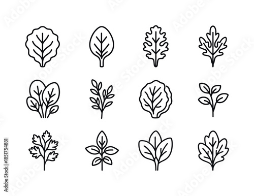 Leafy Greens Icons. Leafy Greens. Line icon set of Leafy Greens: