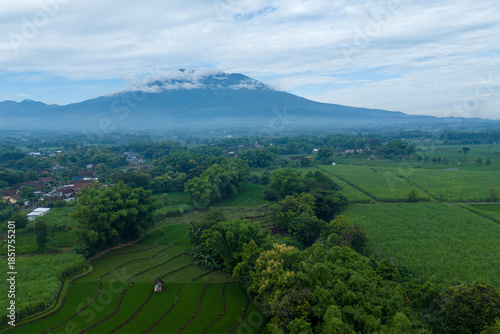 Stunning aerial landscape of lush green rice terraces with a majestic lawu mountain peak under clouds in the background. Scenic rural view in Java, Indonesia.