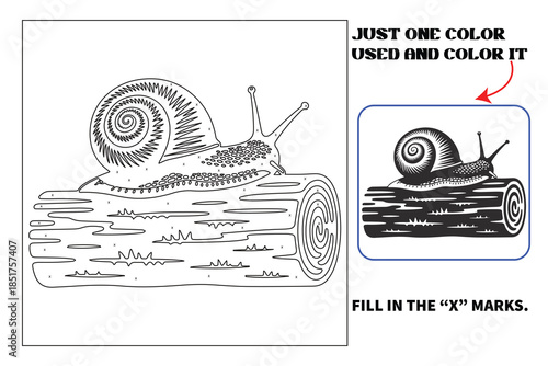 Animals Monochrome coloring pages for adults and teens with Amazon KDP book interior designs.