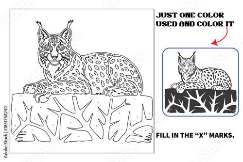 Animals Monochrome coloring pages for adults and teens with Amazon KDP book interior designs.