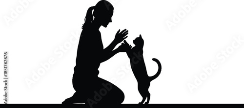 Black Silhouette of a Woman Kneeling and Playfully Interacting with a Cat, Illustrating the Loving Bond Between a Pet Owner and Her Animal