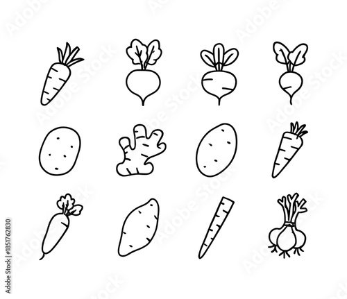 Root Vegetable Icons. Root vegetables. Line icon set of root veg