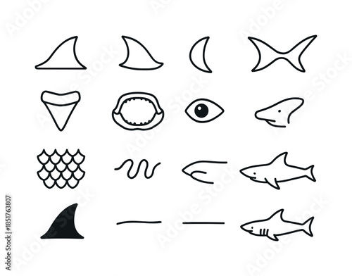 Shark Anatomy Icons. sharks