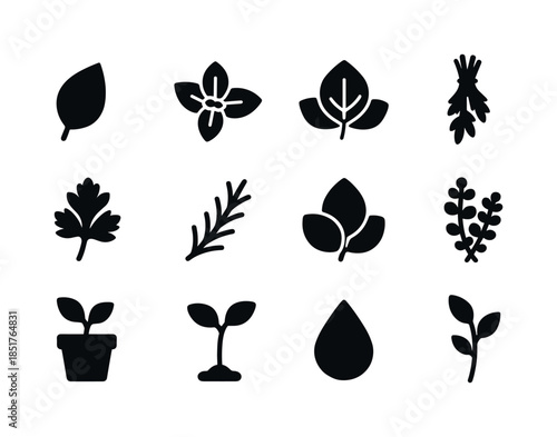 Herbal Icon Set. Herbal Icons. Solid icon set of Herbal Icons: l