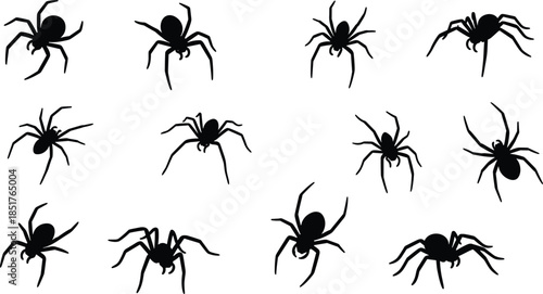 Black spider silhouettes collection, creepy arachnid icons isolated on white background, halloween insect illustration set for design vector graphic bundle