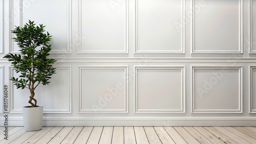 Clean white panels and potted plant concept. A sleek, modern interior featuring a potted plant and clean walls.