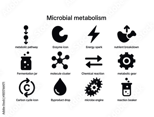Microbial Metabolism Icons. Microbial metabolism. Solid icon set