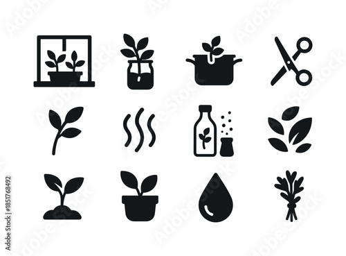 Fresh Herb Icons. Fresh herbs at home. Solid icon set of Fresh h