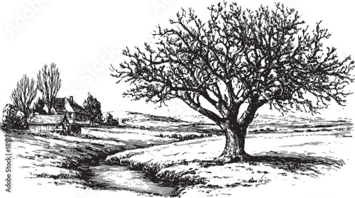 Leafless oak tree in a detailed engraving style. The black and white vector illustration features a rural landscape with a farmhouse and a stream.