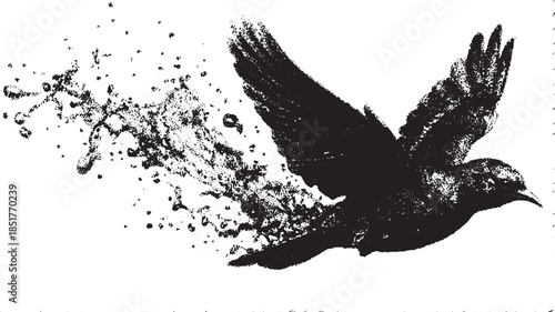 Black bird in flight with a splash effect. Vector illustration showcasing a dynamic and elegant design set.