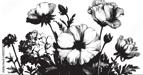 Black and white illustration of flowers in a botanical style. Detailed floral vector artwork presented as a set with elegant petals and leaves.
