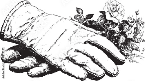 Gardening glove and flower illustration. Vintage black and white line art set as a vector illustration, showing detailed floral design with tools.