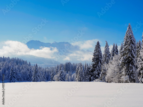 This photograph captures a beautiful winter mountain landscape blanketed in fresh snow. Snow-covered peaks, frozen valleys, and silent forests create a serene and pristine alpine atmosphere. 