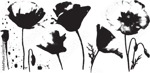 Black poppy flowers in a minimalist vector illustration set. Simple artwork showcasing floral design with elegant lines and shapes.