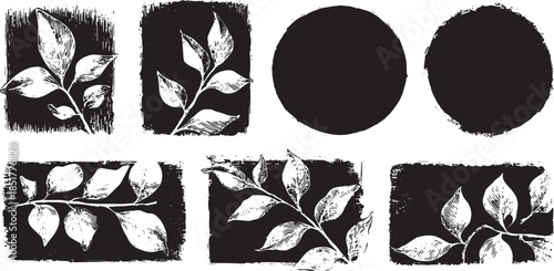 Rustic labels with botanical accents in black and white. The vector illustration features a set of varied shapes and textures.