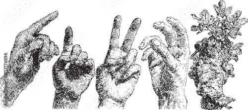 Vintage hand gestures illustrated in fine detail. Realistic black and white vector illustration of artistic expressions in a set.
