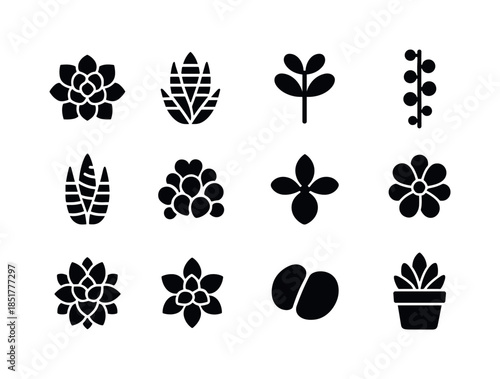 Succulent Icon Grid. succulents. Solid icon set of succulents: e