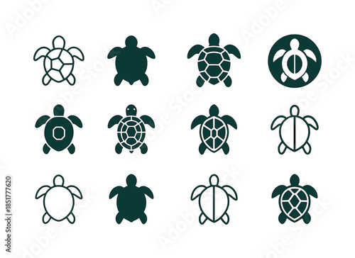 Turtle Logo Variations. Turtle. Icon set. Set Logo of turtle: mi
