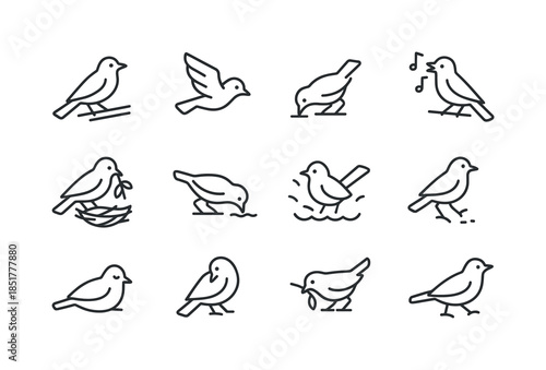 Bird Behavior Icons. Bird Behaviors. Line icon set of Bird Behav