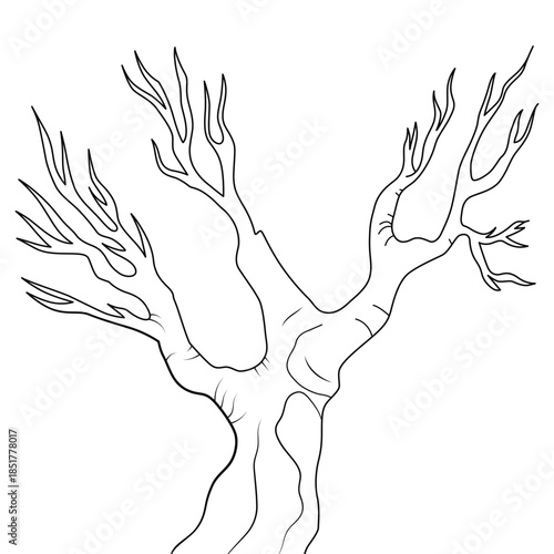 tree with bare branches