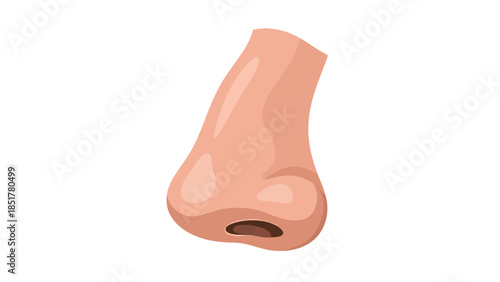 Stylized illustration of a human nose profile viewed from below showing one nostril
