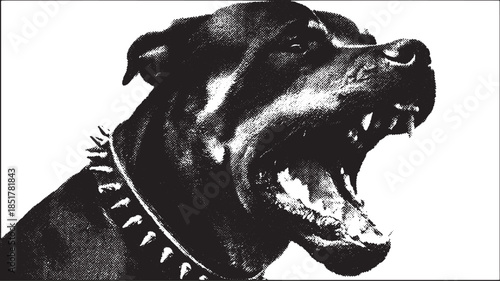 Rottweiler dog portrait illustration in black and white. Graphic with spiked collar and bold expression, showcasing a yelling pose. Vector design.
