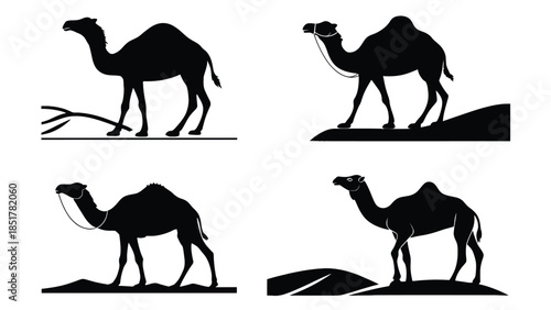 Four silhouette illustrations of camels in desert landscapes.