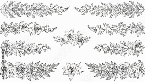 Elegant Floral and Leafy Botanical Borders and Accents Hand Drawn Line Art.