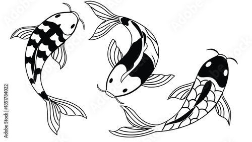 Three black and white koi fish swim in a fluid motion.