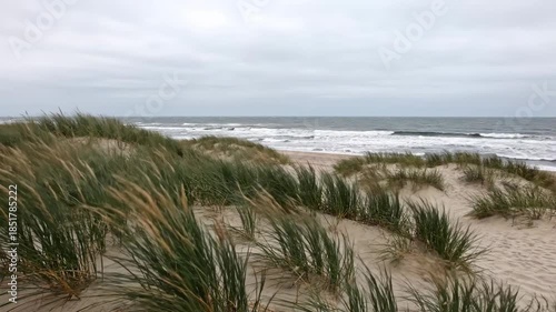 Windy coastal scene with sand dunes and ocean waves.