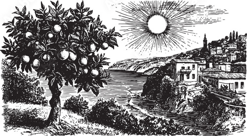 Mediterranean coastal landscape featuring a citrus tree on cliffs. Scenic black and white vector illustration with sunlight and village view.