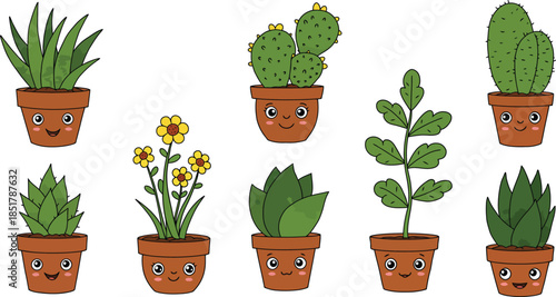 Variety of potted cacti and succulents in terracotta pots on white background