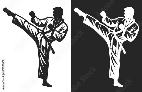 Martial artist high kick illustration representing karate and taekwondo training, strength, balance, flexibility, and combat discipline.
