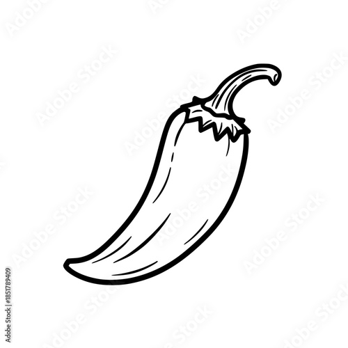 Elegant Line Art Chili Pepper | Clean, isolated vector art for creative projects.