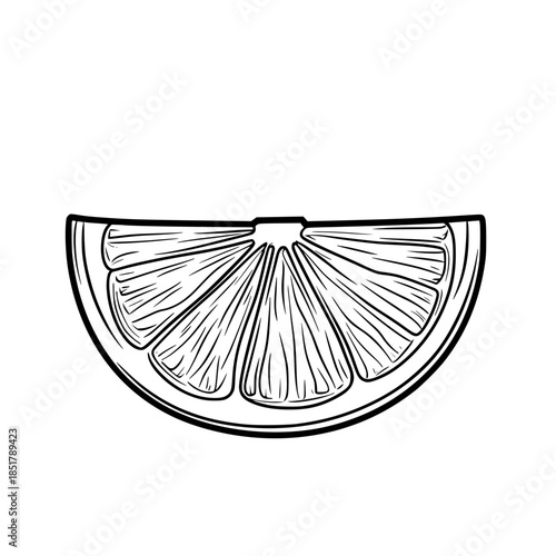 Slice Life: Citrus Cutter's Companion | Clean, isolated vector art for creative projects.