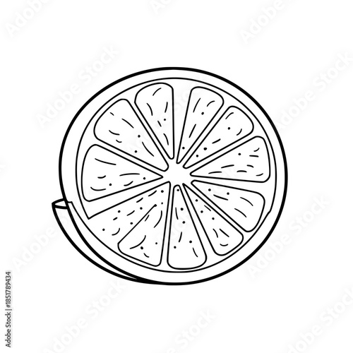 Citrus Cocktail: Refreshing Twist Classic Fruit | Clean, isolated vector art for creative projects.