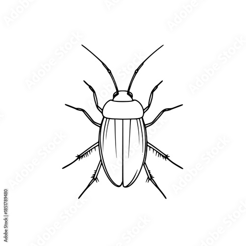 Austere elegance: minimalist line art cockroach, captured simple yet striking black white illustration.
