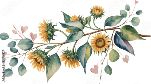 Watercolor illustration of eucalyptus branch with kangaroo paw flowers