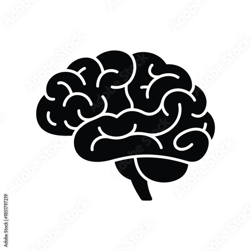 A detailed silhouette of a human brain showcasing its complex structure