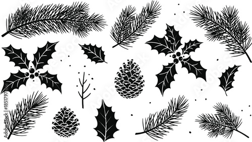 A collection of festive winter holiday elements including pine branches, holly, and pinecones.