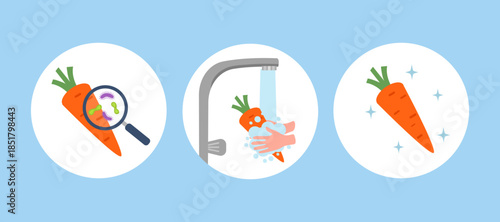 Hands washing dirty carrot under running water. Concept of health and hygiene. Wash vegetable. Prevent virus and bacteria.