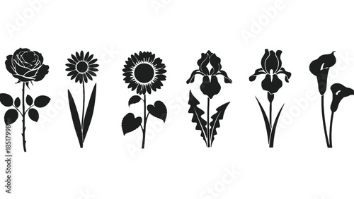 A collection of six black silhouette flower illustrations on a white background.