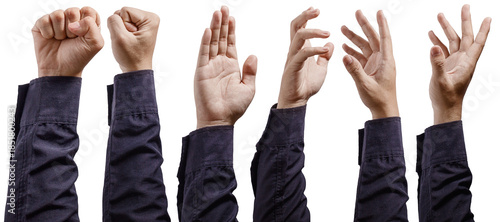 Collection of Human Hands in Various Gestures on White Background. Human Arm Set Background. High quality photo