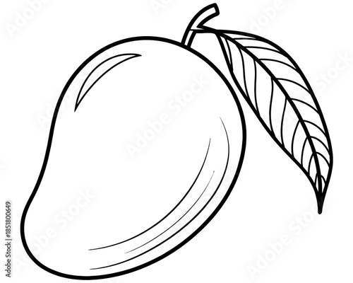 A black and white line drawing of a mango with a leaf is presented.