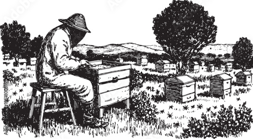Beekeeper working in an apiary surrounded by hives. Vintage black and white vector illustration depicting nature and agriculture themes in a rural setting.