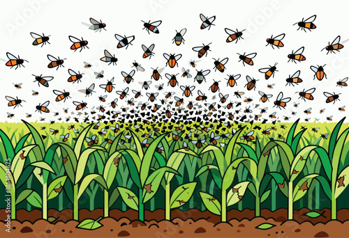 Swarm of bees descends on a field of green cornstalks