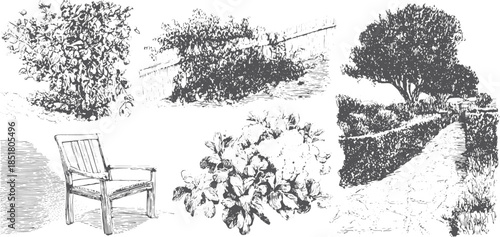 Illustration of garden plants, a tree, and a wooden bench. Black and white vector illustration depicting outdoor scenery with foliage and paths.